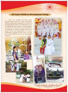D N Annual Report English Final-1_Page_31